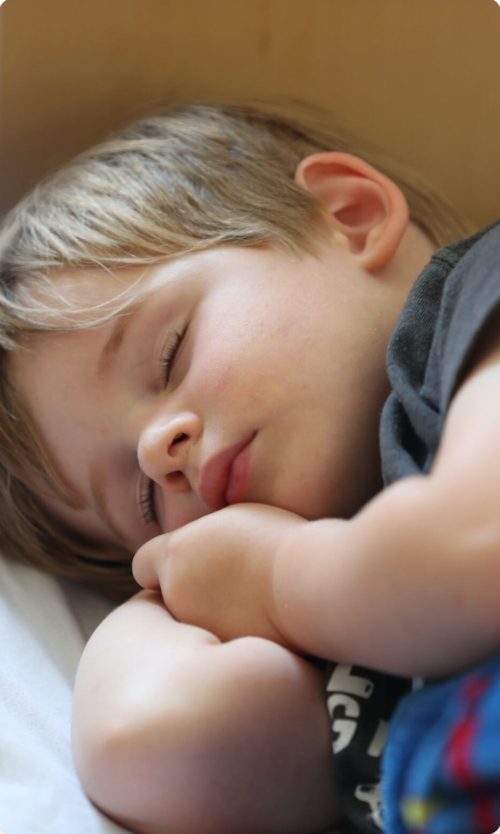 Nap time…Zzzzz